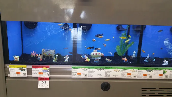Pet Supplies Plus Sanford Picture 4