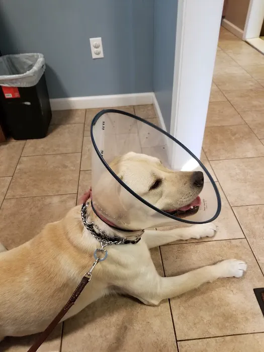 East Side Veterinary Clinic Picture 4