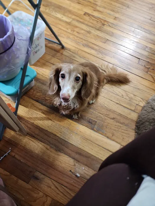 East Side Veterinary Clinic Picture 7