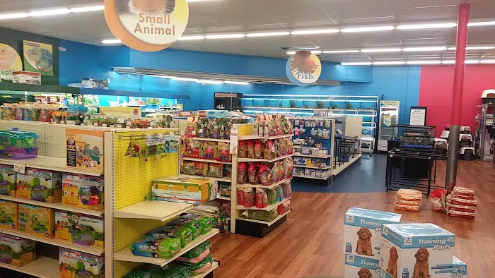 Pet Supermarket Picture 5