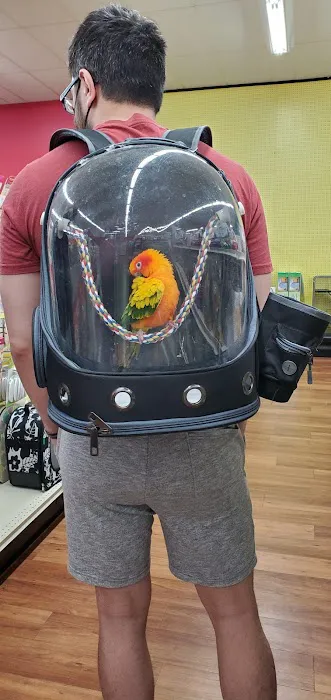 Pet Supermarket Picture 9