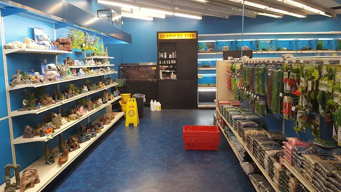 Pet Supermarket Picture 4