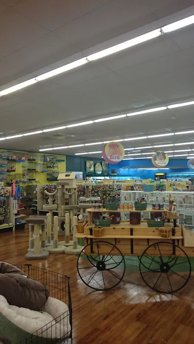 Pet Supermarket Picture 2