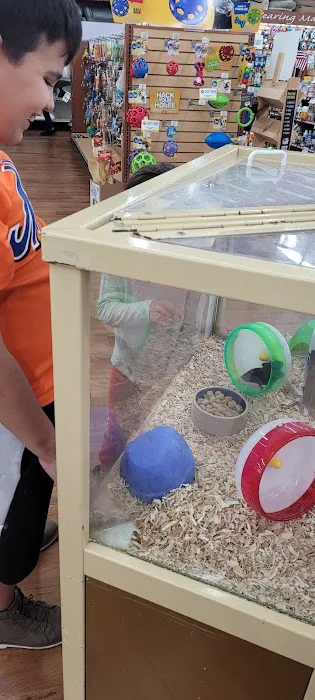 Pet Supermarket Picture 3