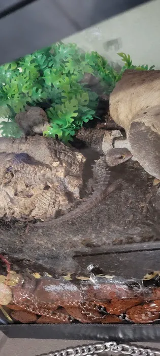 No Ways REPTIQUARIUM Picture 3