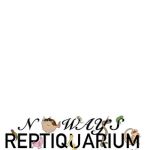 No Ways REPTIQUARIUM