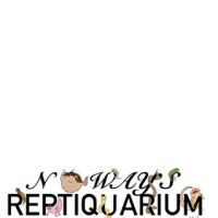 No Ways REPTIQUARIUM ico