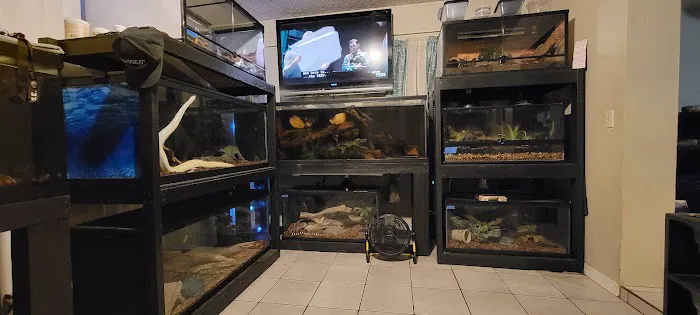 No Ways REPTIQUARIUM Picture 4