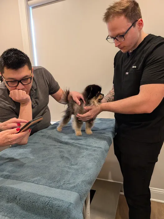 Zenith Veterinary Dermatology Picture 5