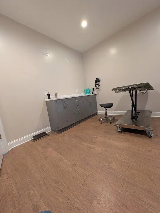 Zenith Veterinary Dermatology Picture 1
