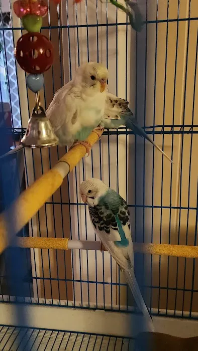 Pet Supermarket Picture 3