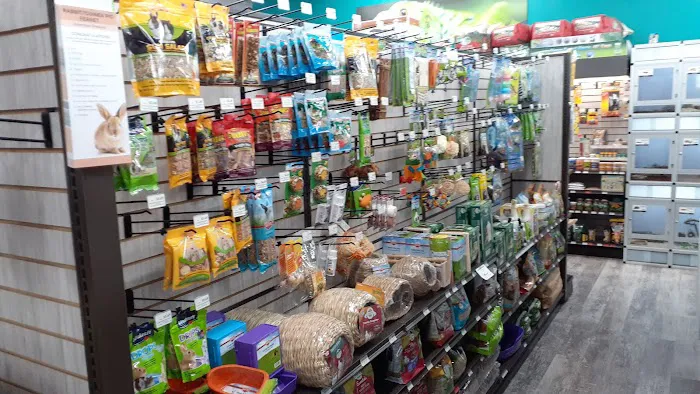 Pet Supermarket Picture 4