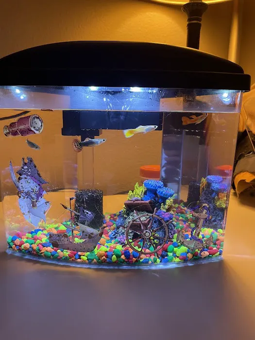 Pet Supermarket Picture 1