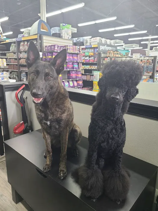 Pet Supermarket Picture 7