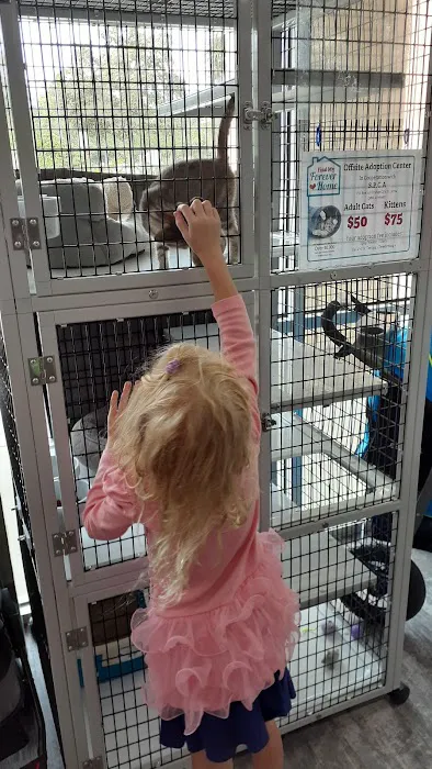 Pet Supermarket Picture 5