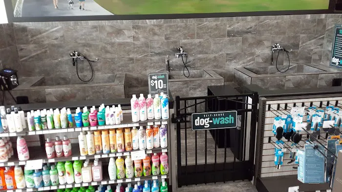 Pet Supermarket Picture 6
