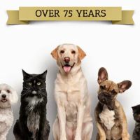 Niskayuna Animal Hospital ico