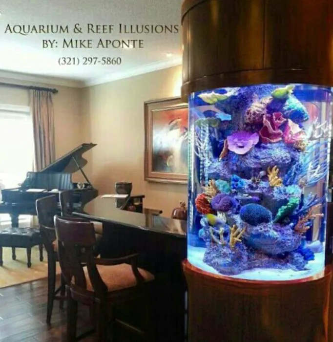 Aquarium Reef Illusions Picture 6
