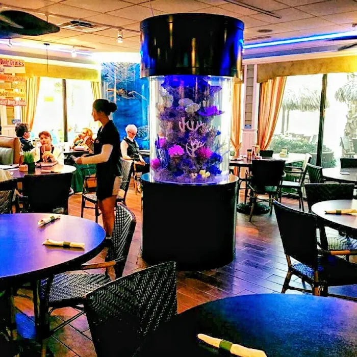 Aquarium Reef Illusions Picture 2