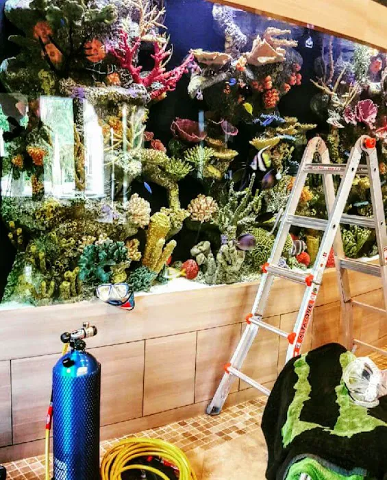 Aquarium Reef Illusions Picture 1