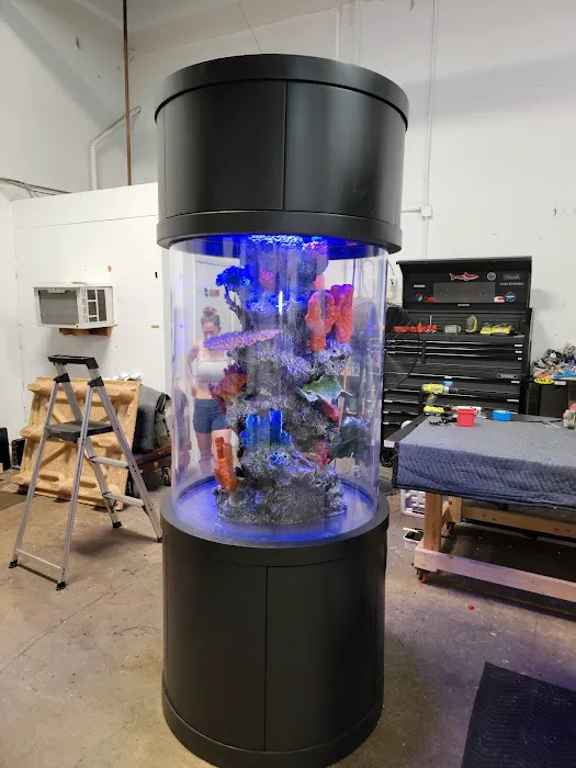 Aquarium Reef Illusions Picture 4