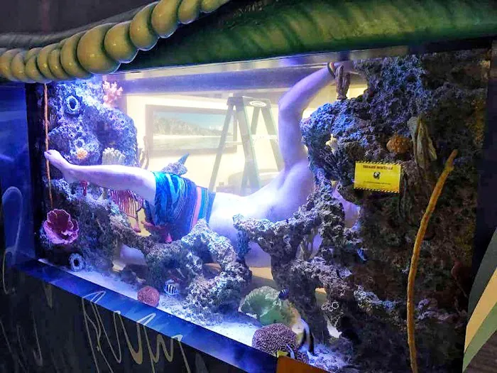 Aquarium Reef Illusions Picture 3