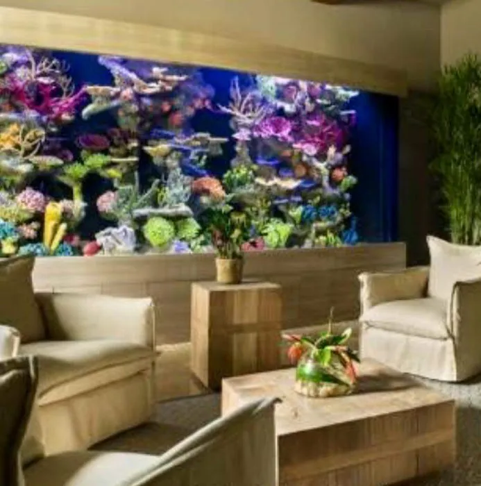 Aquarium Reef Illusions Picture 8