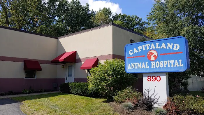 Capitaland Animal Hospital Picture 6