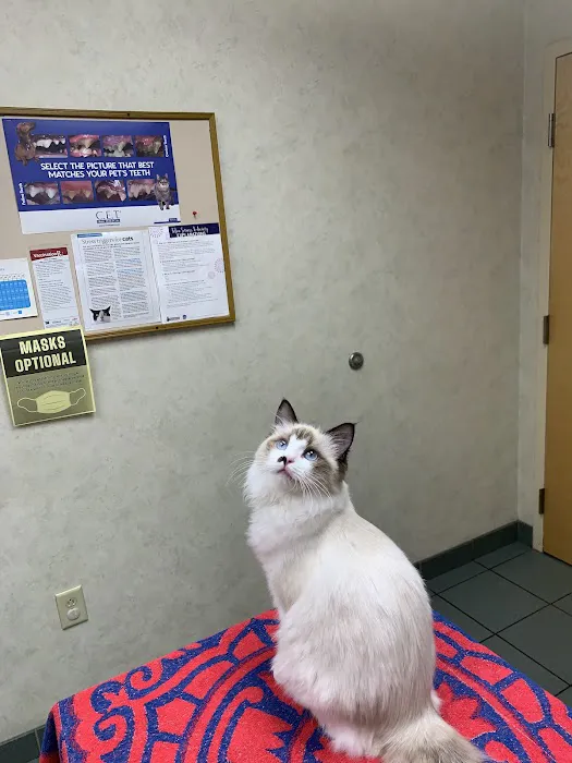Capitaland Animal Hospital Picture 7