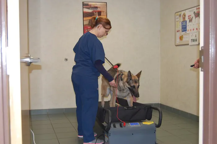 Capitaland Animal Hospital Picture 4