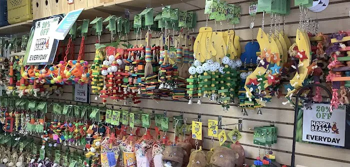 Parrotdise Bird Store & Boarding Picture 4