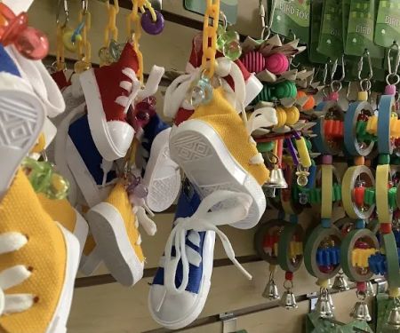 Parrotdise Bird Store & Boarding