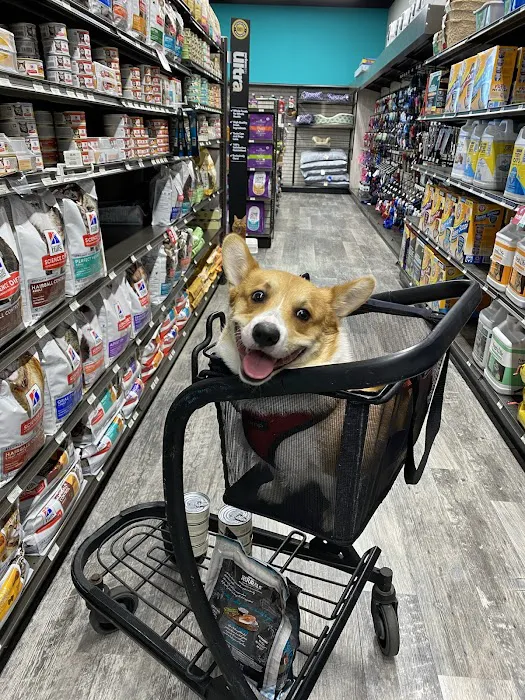 Pet Supermarket Picture 3
