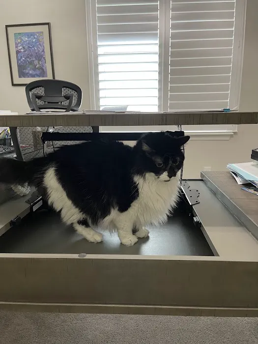 Pet Supermarket Picture 6