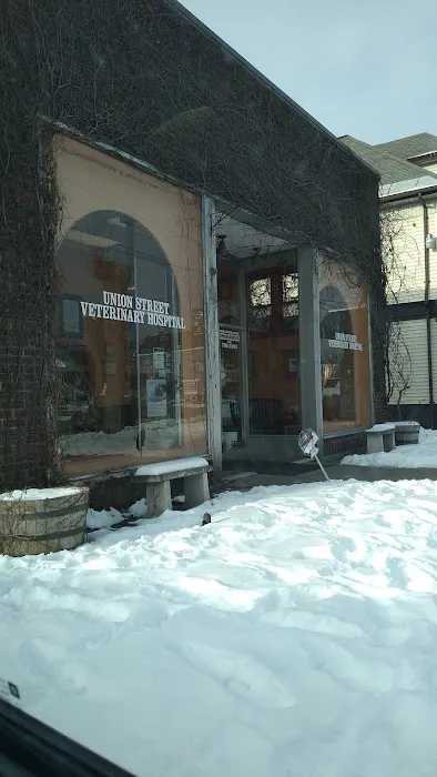 Union St Veterinary Hospital Picture 4