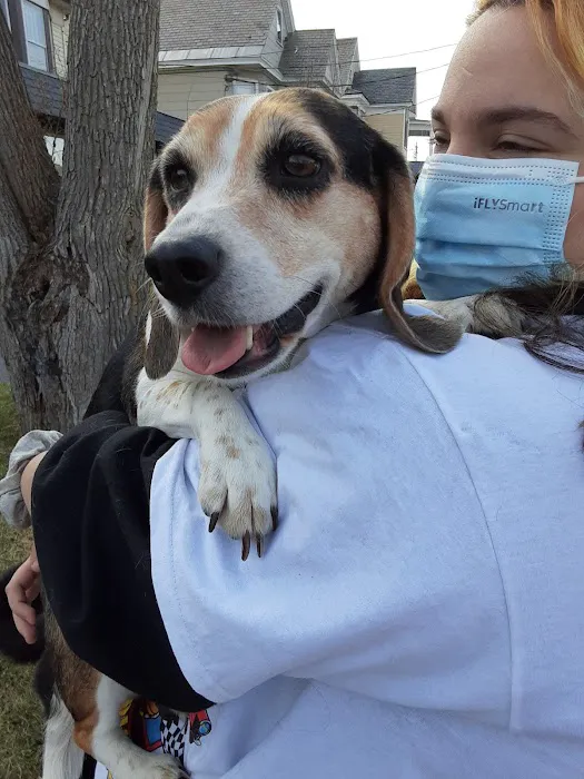 Union St Veterinary Hospital Picture 8