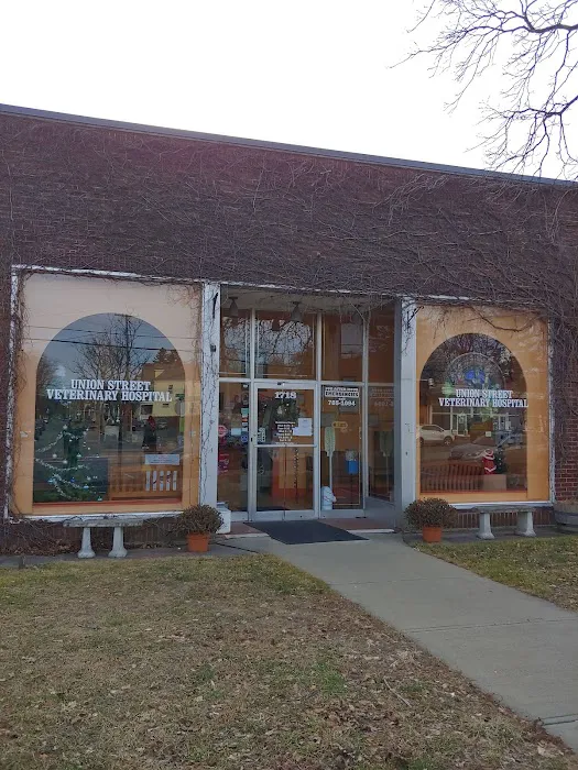 Union St Veterinary Hospital Picture 6