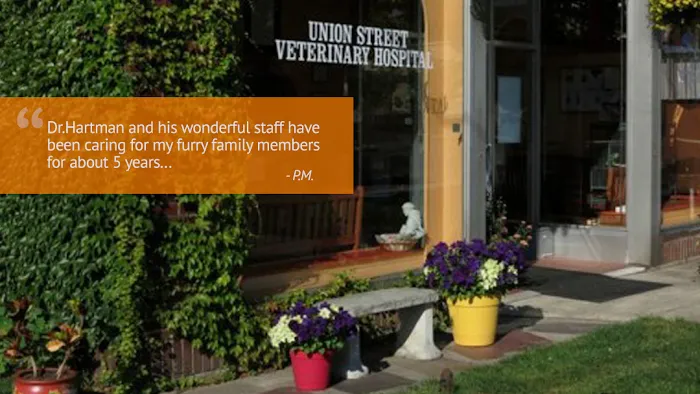 Union St Veterinary Hospital Picture 10