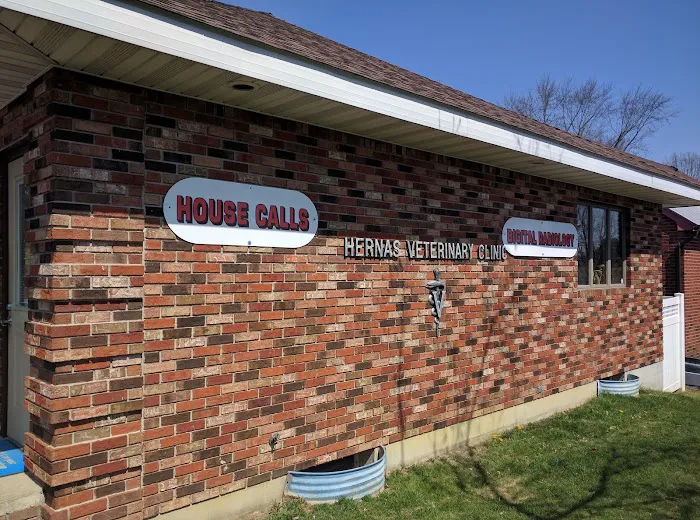 Hernas Veterinary Clinic Picture 4