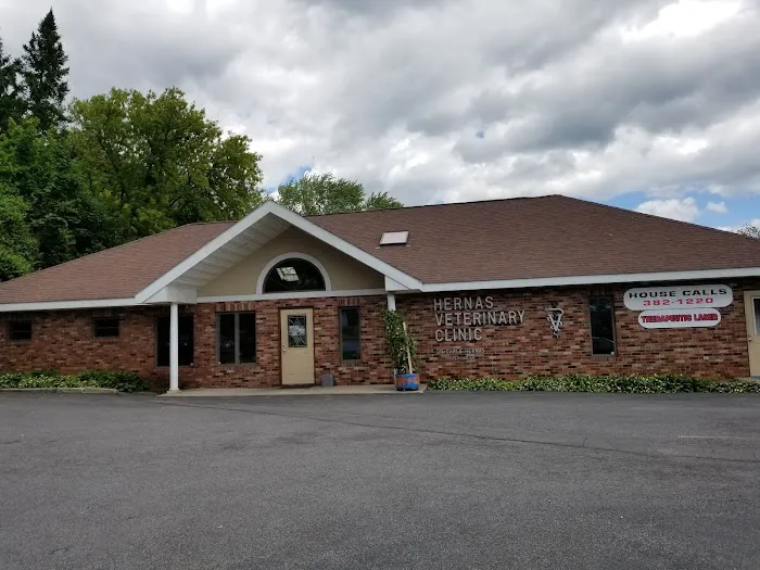 Hernas Veterinary Clinic Picture 5