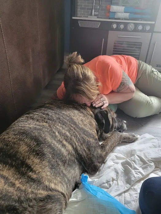 Hernas Veterinary Clinic Picture 8
