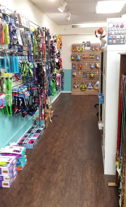 Gurrs & Purrs Boutique Picture 7
