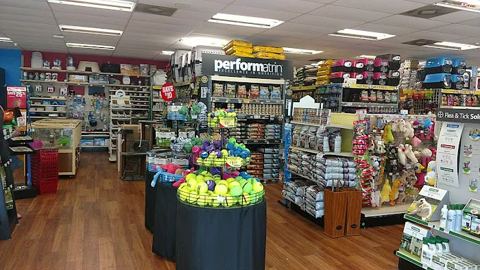Pet Supermarket Picture 6