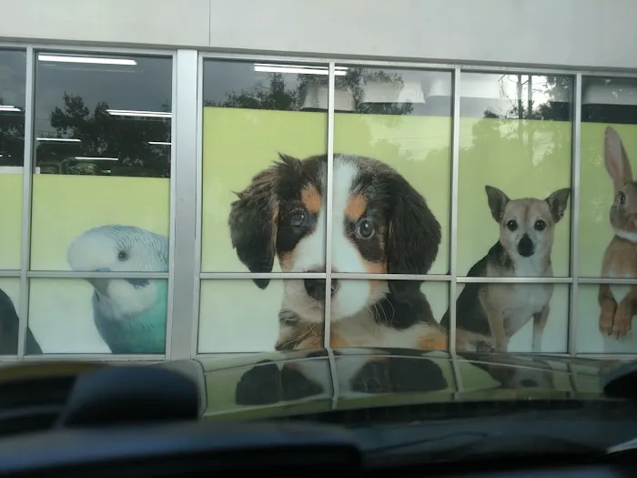 Pet Supermarket Picture 1