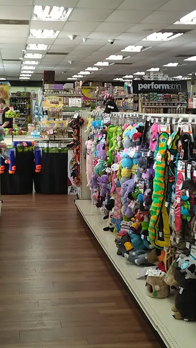 Pet Supermarket Picture 10