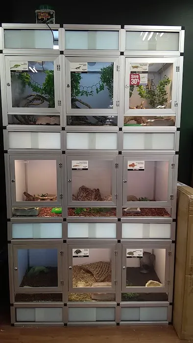 Pet Supermarket Picture 4