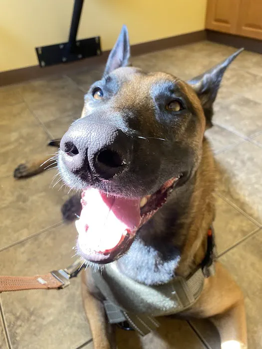 River Road Animal Hospital Picture 7