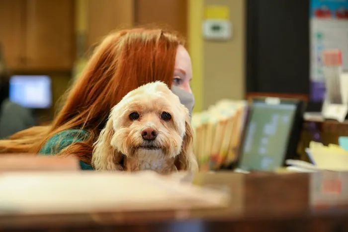 River Road Animal Hospital Picture 1