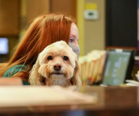 River Road Animal Hospital