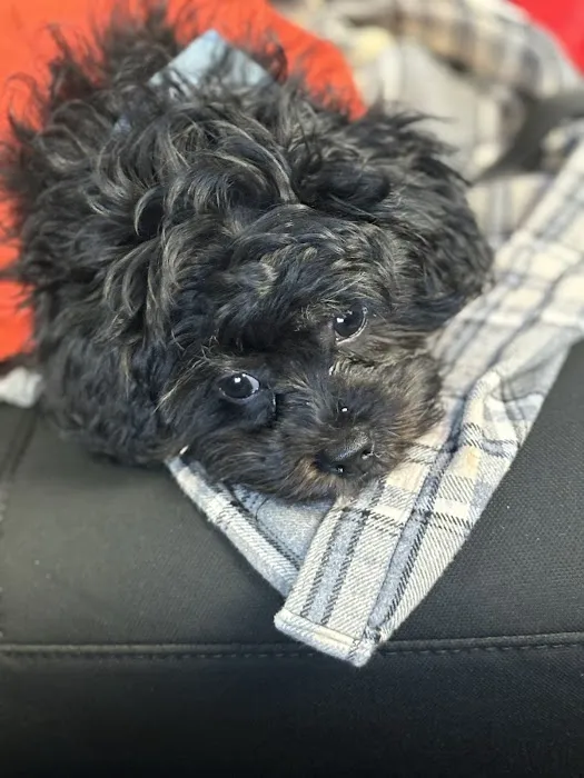 River Road Animal Hospital Picture 8